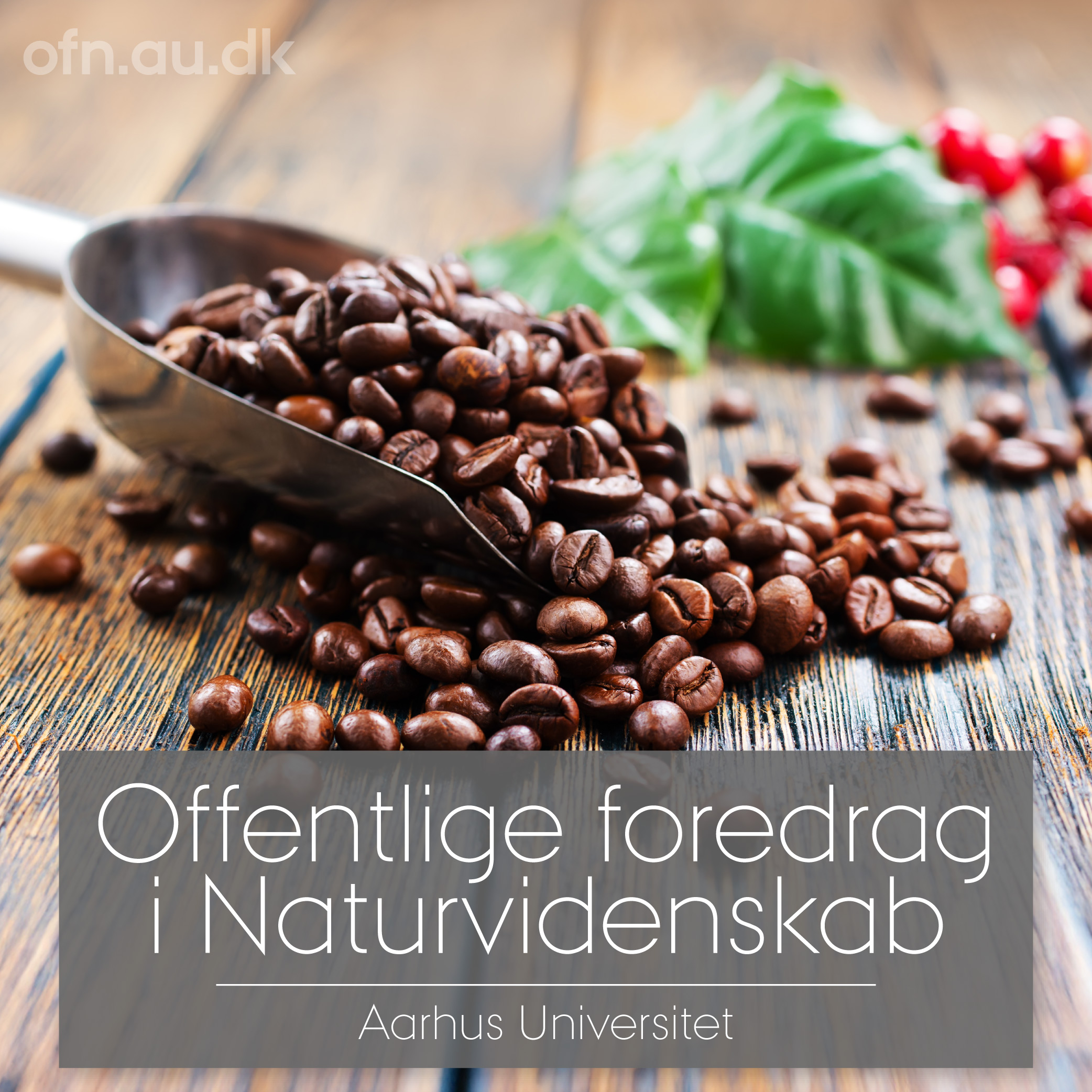 Kaffe