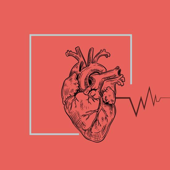 Et bankende hjerte med puls.