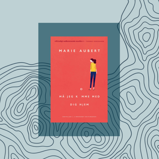 Bogforside med abstrakt mønster i baggrunden 